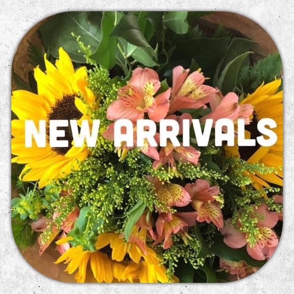 🌼Like to be Notified🌼